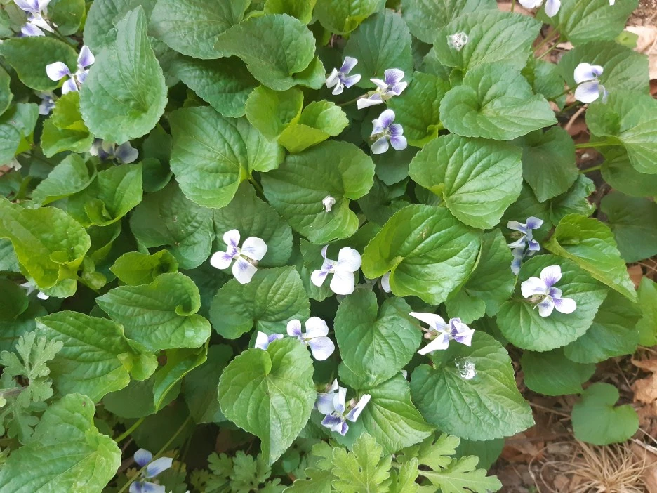 20220417_065638.jpg?type=w1