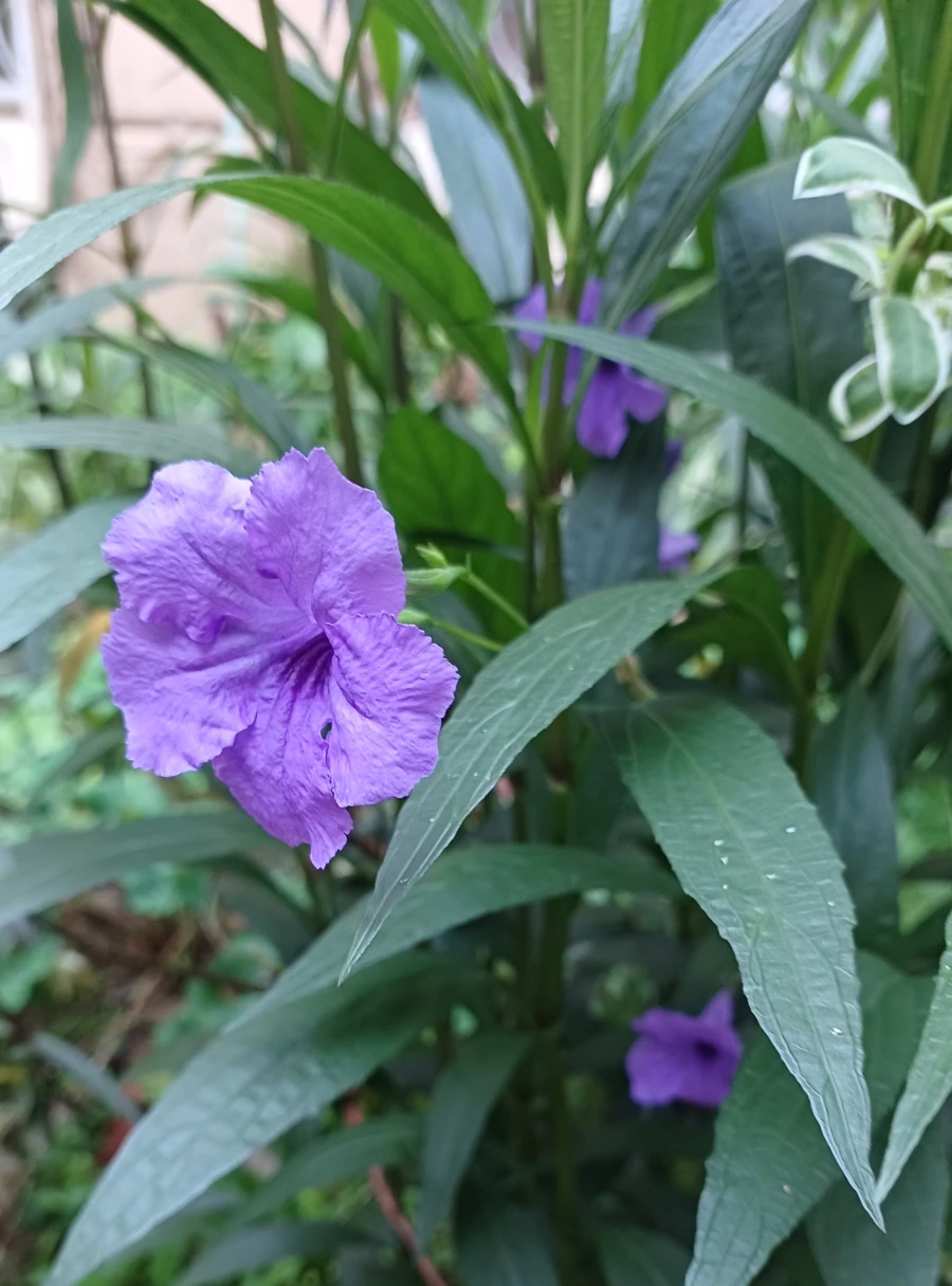 SE-b0fc06d1-1ec9-11ed-b696-878c4002c4f2.jpg?type=w1