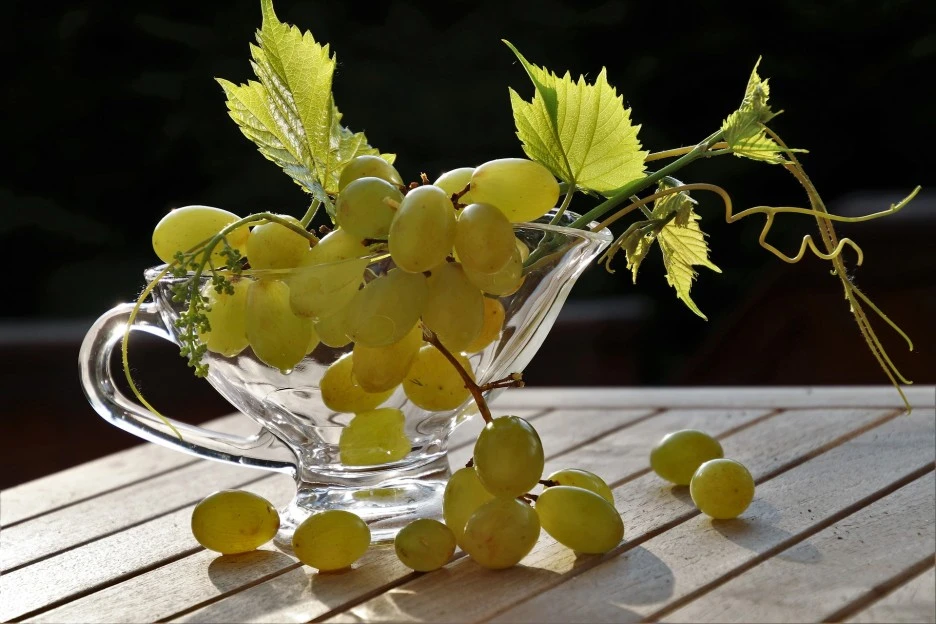grapes-3437572_1920.jpg?type=w1