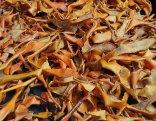 %EC%9B%B9_%EC%BA%A1%EC%B2%98_25-9-2022_1693_search.naver.com.jpeg?type=w1