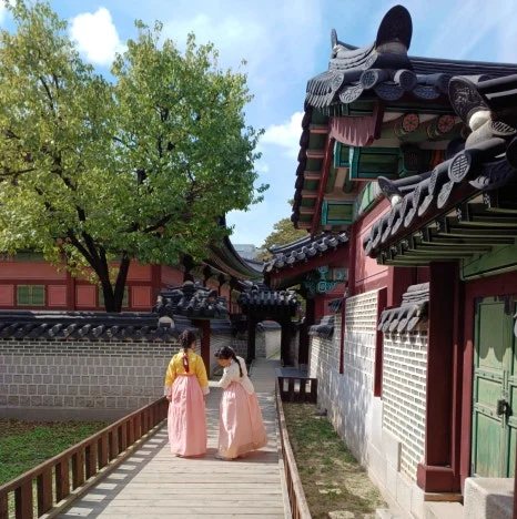 20241009_123428.jpg?type=w466