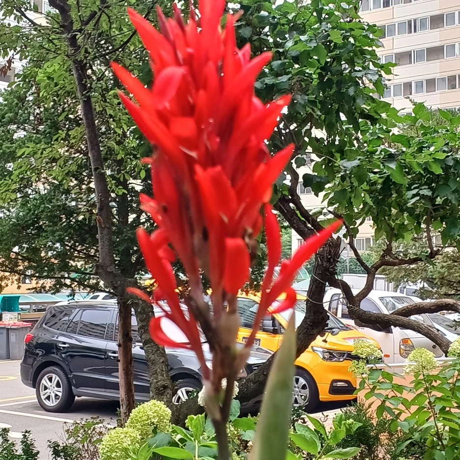 20220705_123006.jpg?type=w1