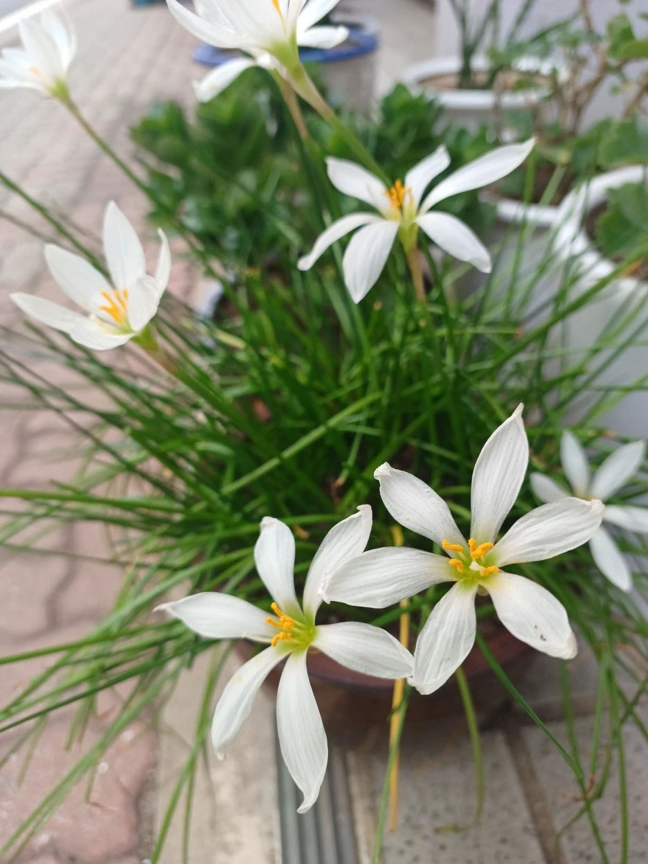 20220920_125301.jpg?typew1