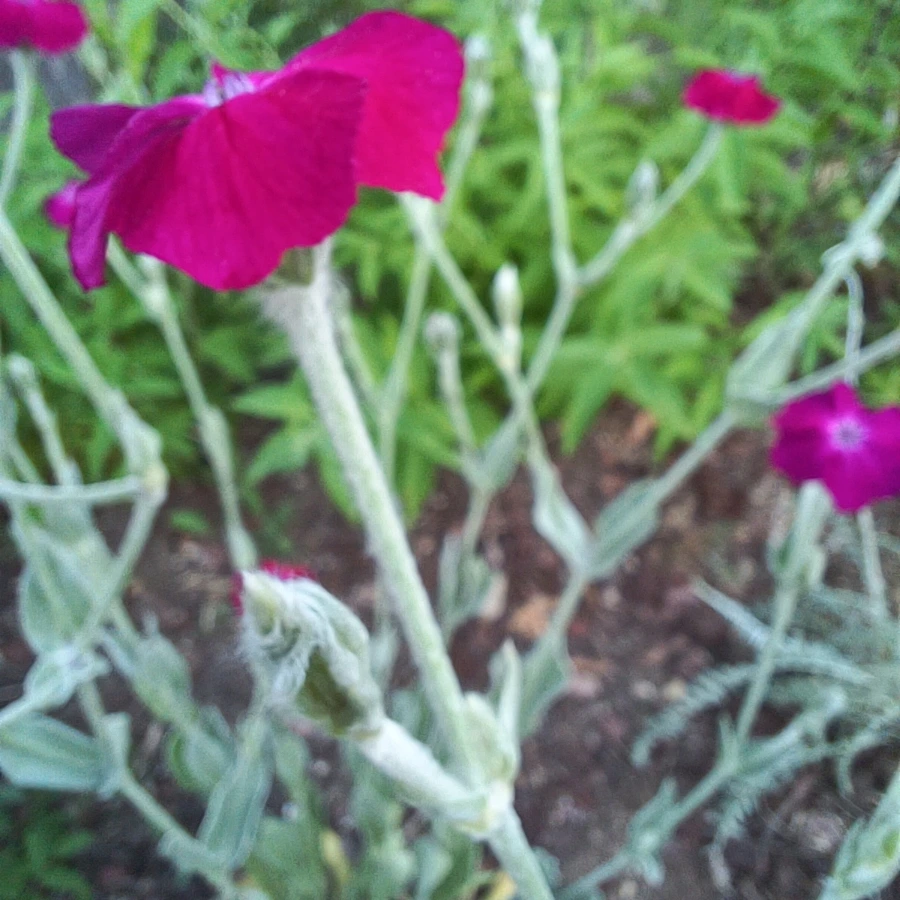 20220527%EF%BC%BF183639.jpg?type=w1