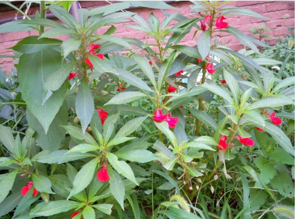 웹 캡처_7-4-2022_21227_blog.daum.net.jpeg