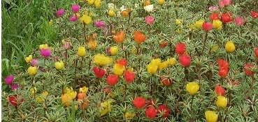 %EC%9B%B9_%EC%BA%A1%EC%B2%98_15-10-2022_145545_www.econew.co.kr.jpeg?type=w1