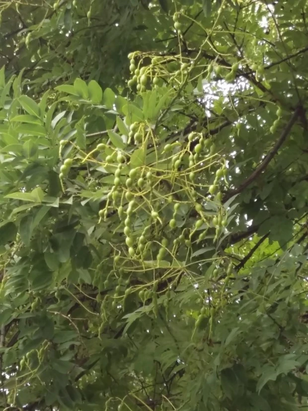 %EB%8B%A4%EC%9A%B4%EB%A1%9C%EB%93%9C.jpg?typew1