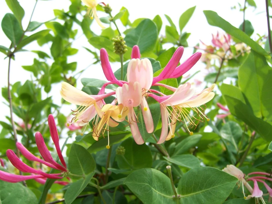 100_1765.jpg?type=w1