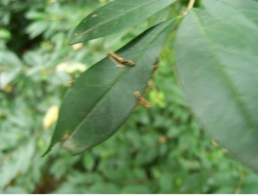 SE-26b2ef5f-1e34-42d3-8929-35781cec48b5.jpg?type=w1