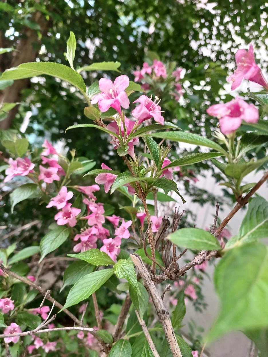 20230507%EF%BC%BF171844.jpg?type=w1