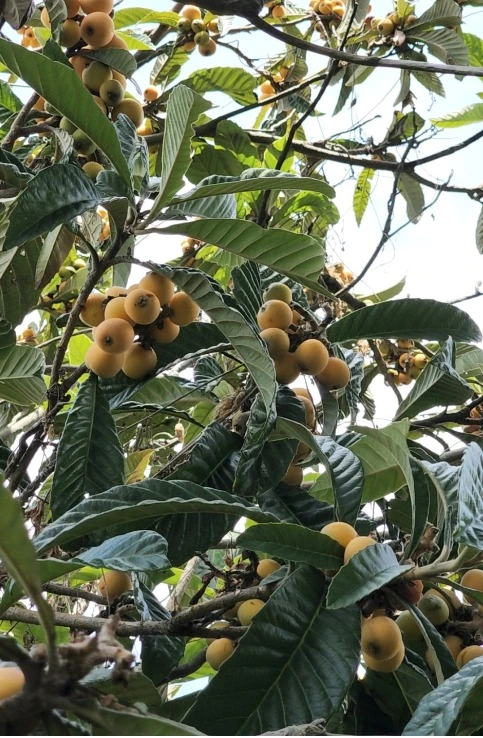 %EC%9B%B9_%EC%BA%A1%EC%B2%98_21-6-2022_141923_blog.naver.com.jpeg?type=w1