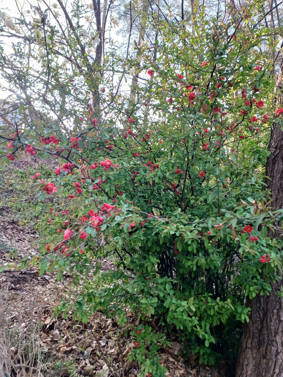 20230331_171213.jpg?type=w1