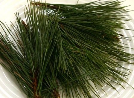 SE-1896e613-3563-42a9-863e-69a76c5be49d.jpg?typew1