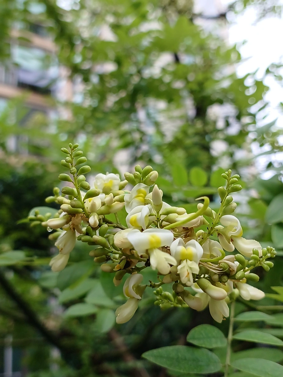 20220721%EF%BC%BF131742.jpg?type=w1