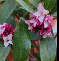 웹 캡처_13-12-2022_15231_search.naver.com.jpeg