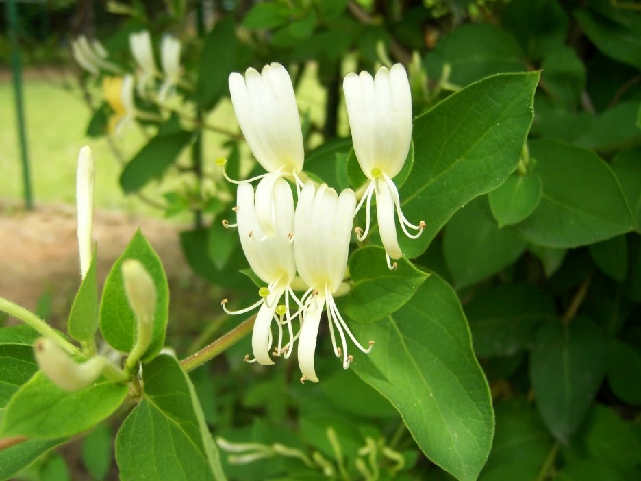 %EC%9D%B8%EB%8F%99%EA%BD%831.jpg?type=w1