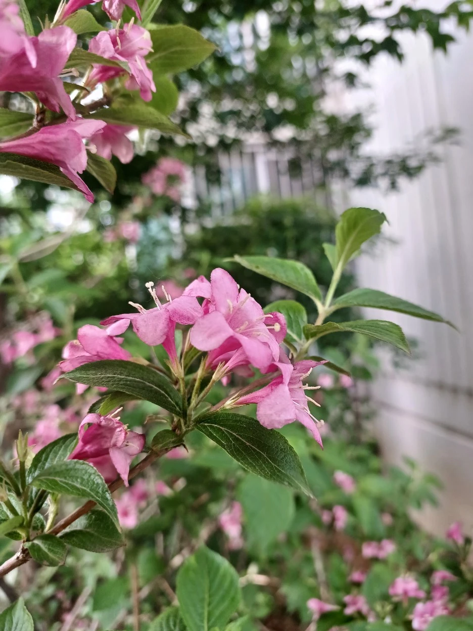 20230507%EF%BC%BF171752.jpg?type=w1