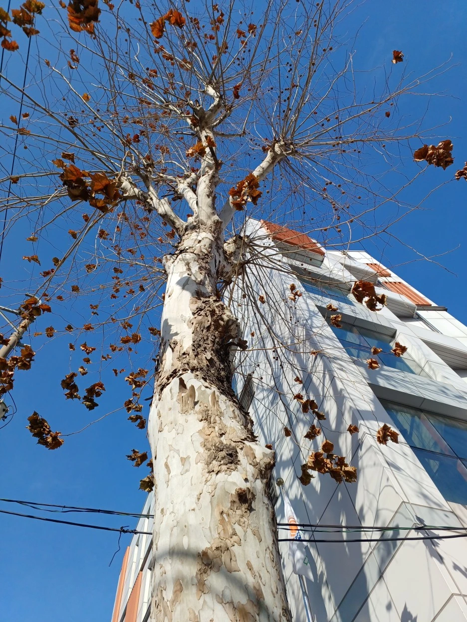 20221216%EF%BC%BF135648.jpg?typew1