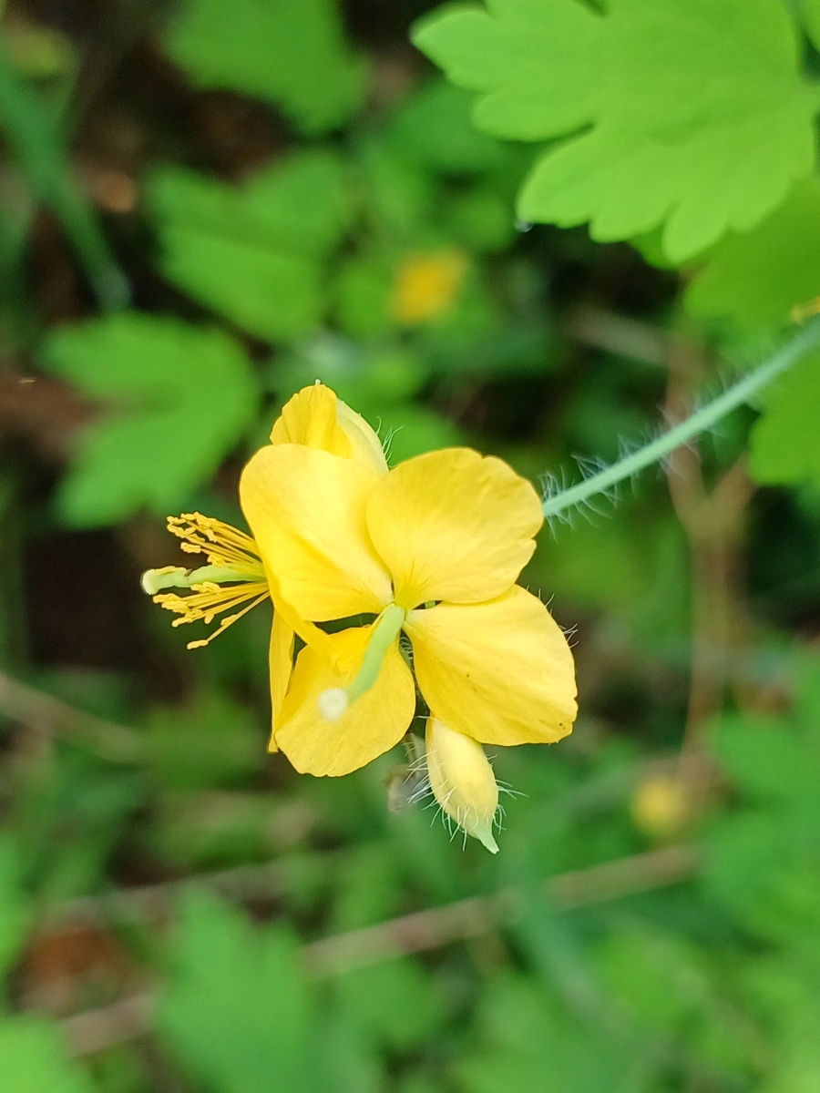 20220912%EF%BC%BF104141.jpg?type=w1