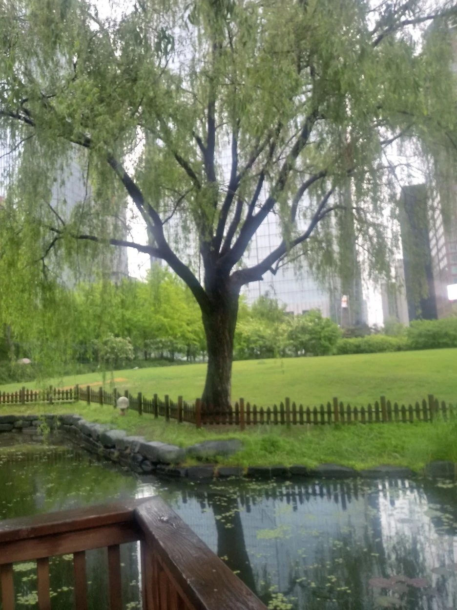 20180506_121853_HDR.jpg?type=w1