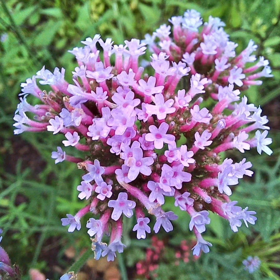 20220629_183844.jpg?type=w1