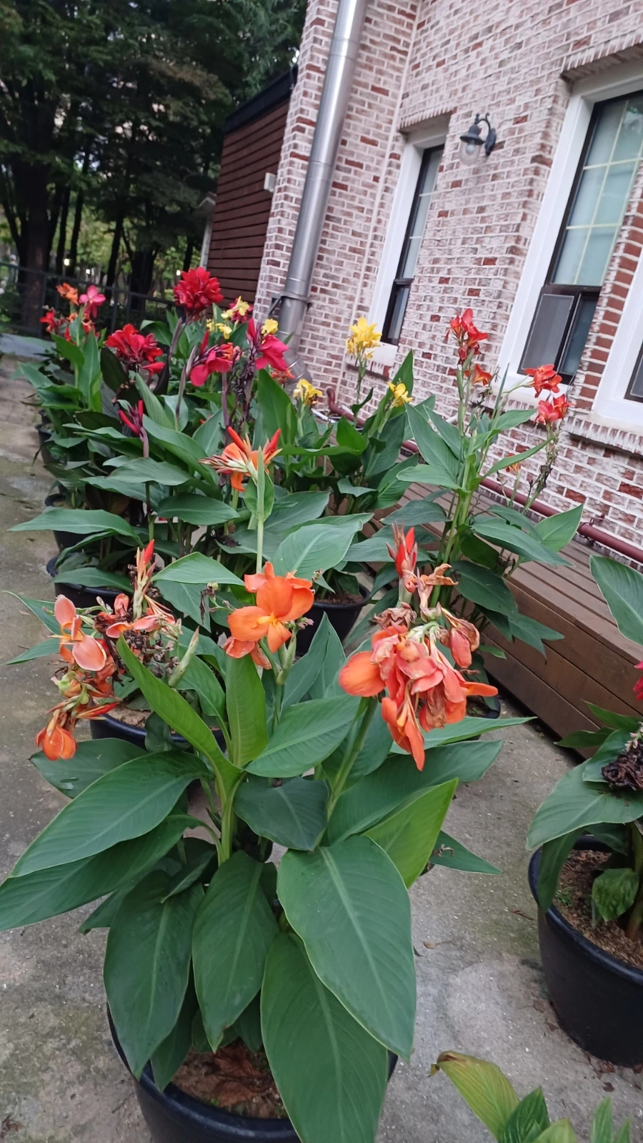 20220817%EF%BC%BF192423.jpg?type=w1