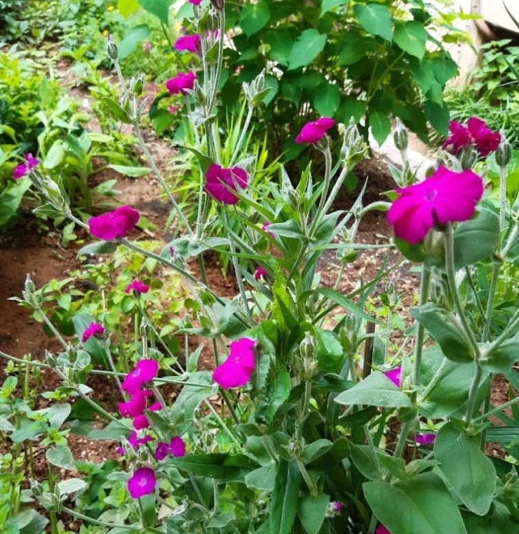 %EC%9B%B9_%EC%BA%A1%EC%B2%98_24-2-2022_83915_blog.naver.com.jpeg?type=w1