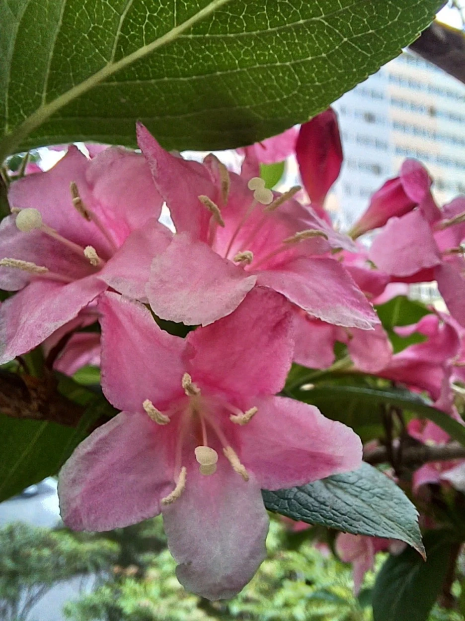 20230507_172425.jpg?type=w1