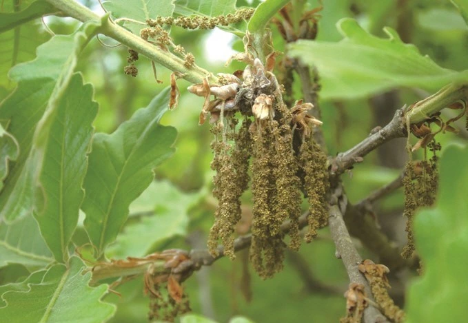 SE-2530ceb6-ec0b-45d0-b67d-63007091f02f.jpg?type=w1