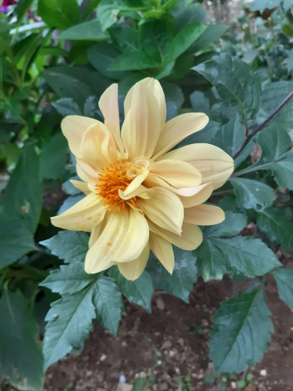 20201002_135411.jpg?type=w1