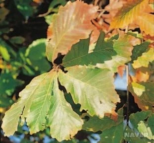 jk_112_1.jpg?type=w1