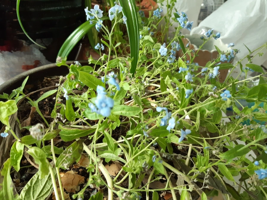 20211215%EF%BC%BF113918.jpg?type=w1