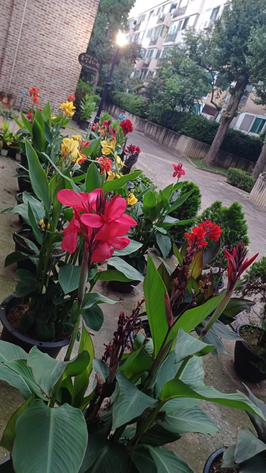 20220817%EF%BC%BF192559.jpg?type=w1