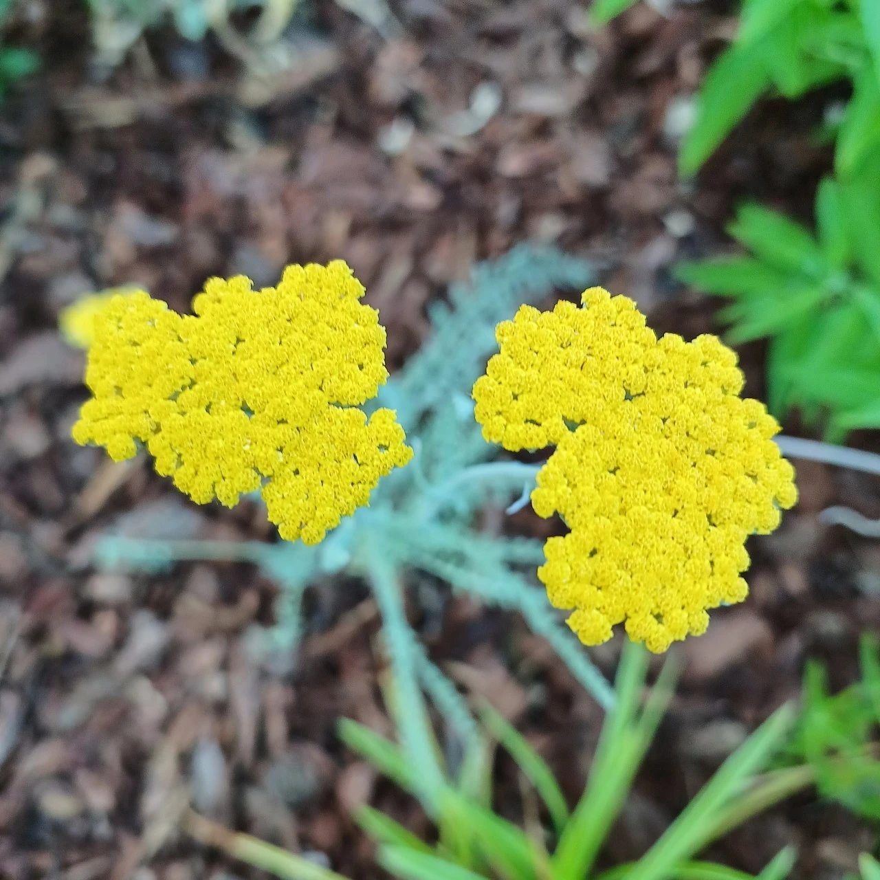 5_1a7Ud018svcweptgbcv885e_818kqs.jpg?type=e1920_std