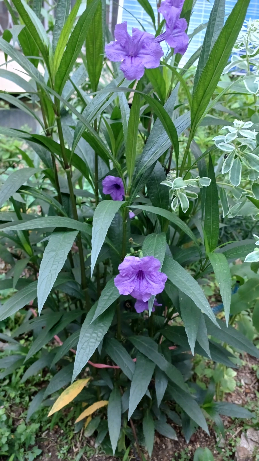 20220818%EF%BC%BF063049.jpg?type=w1