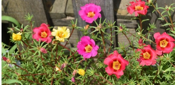 %EC%9B%B9_%EC%BA%A1%EC%B2%98_15-10-2022_145329_www.cynews.co.kr.jpeg?type=w1