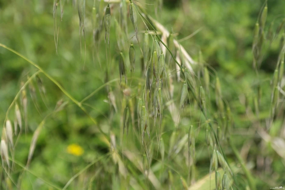 ib58_1535_i4.jpg?type=w1