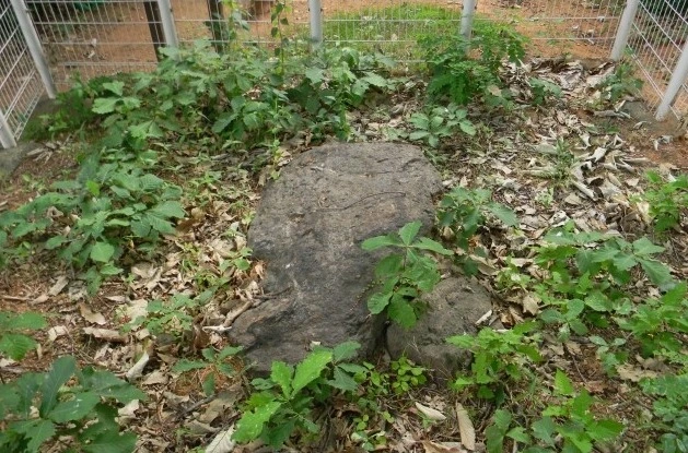 %EC%9B%B9_%EC%BA%A1%EC%B2%98_30-8-2022_2344_blog.daum.net.jpeg?type=w1