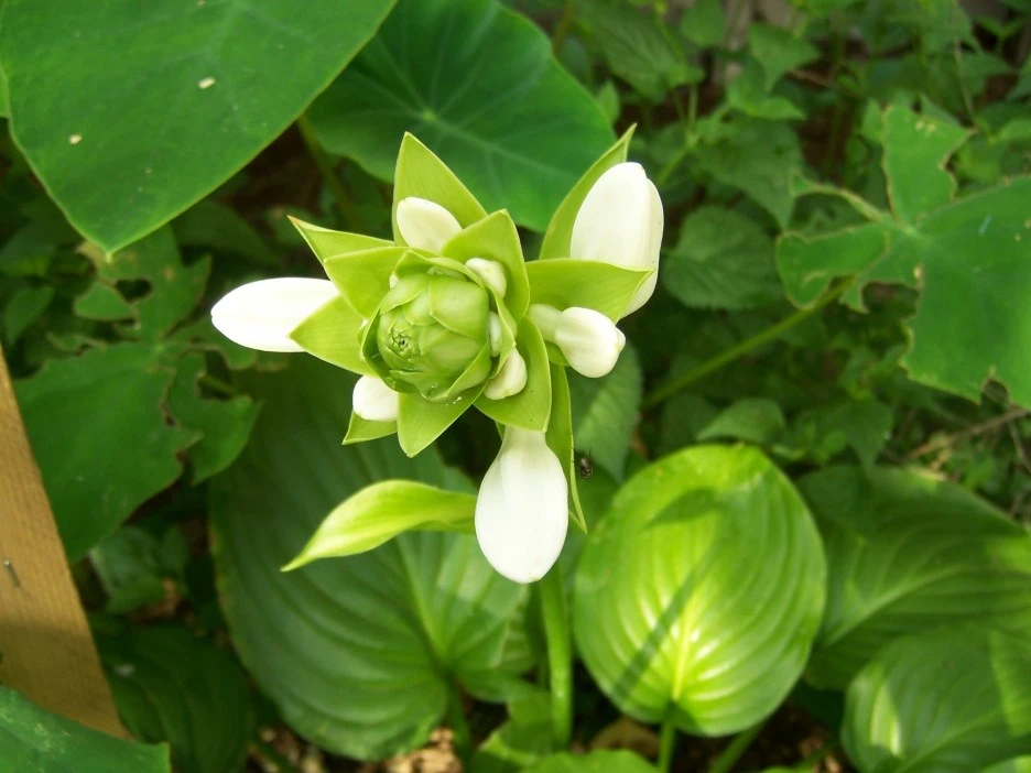 %EC%98%A5%EC%9E%A0%ED%99%944.jpg?type=w1