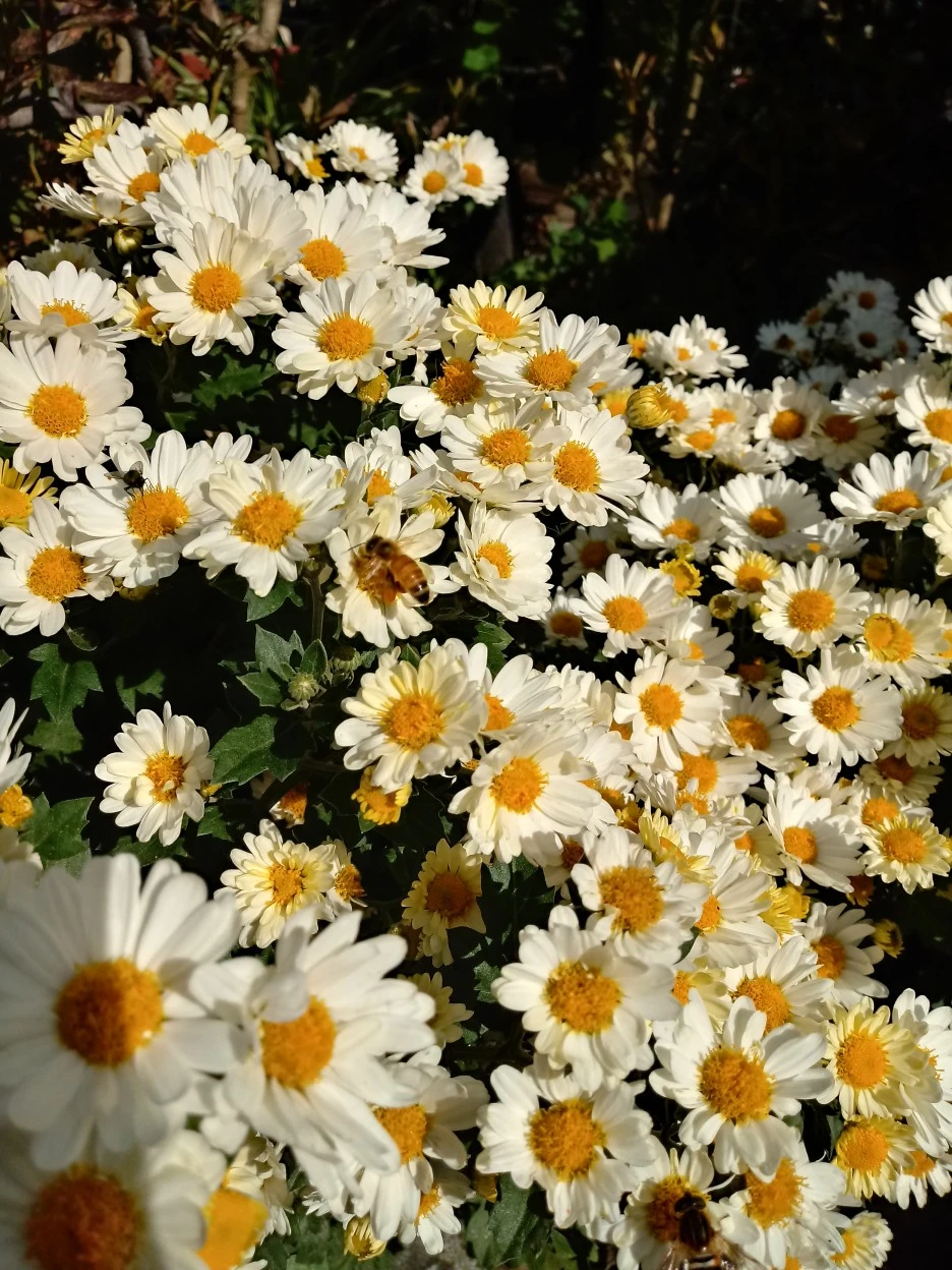 %EA%B0%80%EC%9D%84_(50).jpg?type=w1