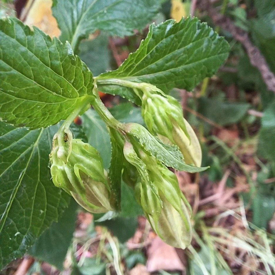 20220529_083258.jpg?type=w1