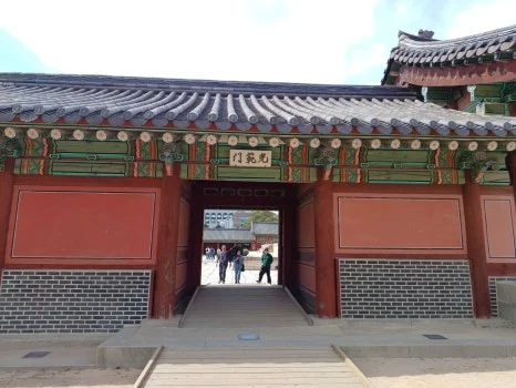 20241009_122235.jpg?type=w466