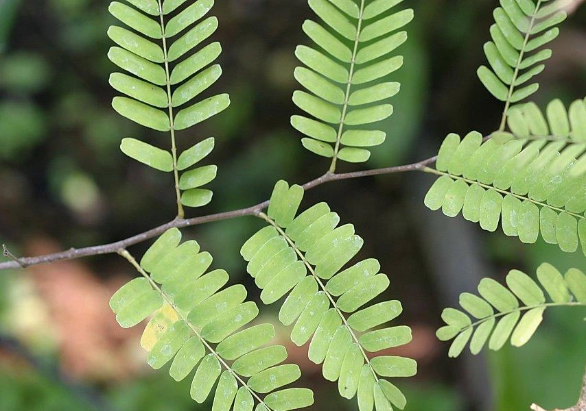 SE-4785d211-de97-4a31-85f8-879b99a6b9ee.jpg?type=w1