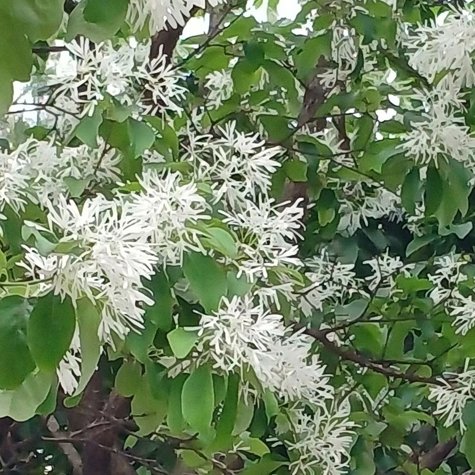 20220508_115907.jpg?type=w1