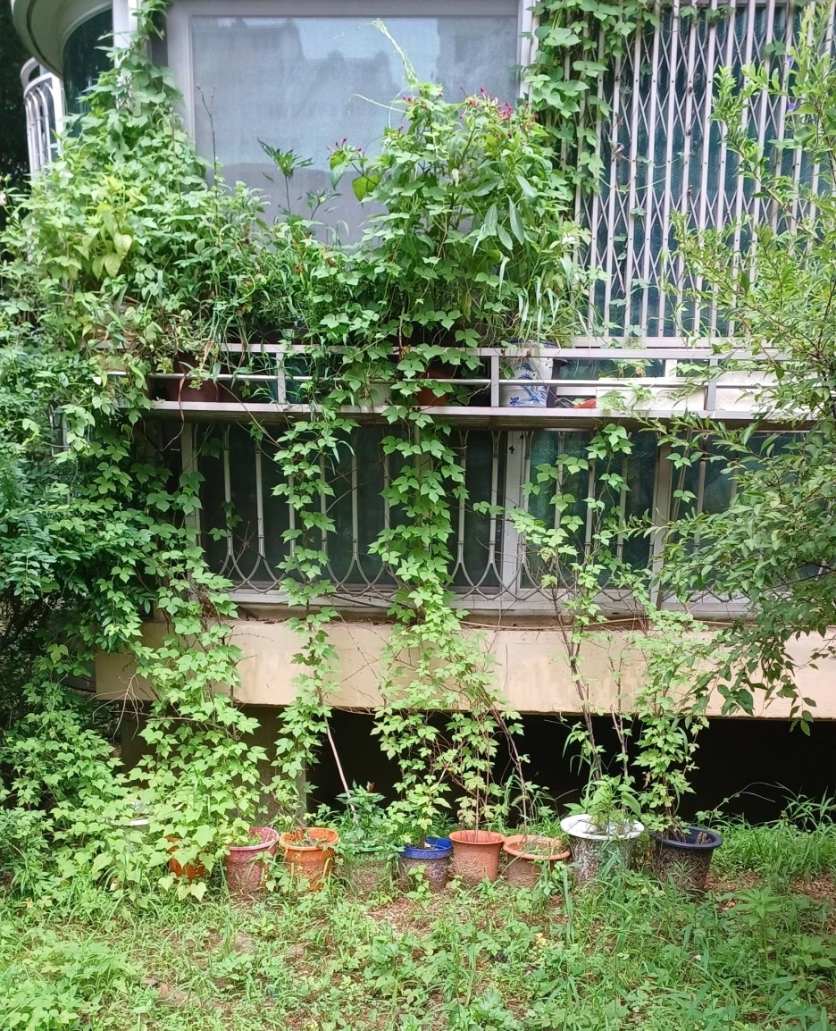 SE-9e51164c-2843-421f-916b-6ec683d460a7.jpg?type=w1