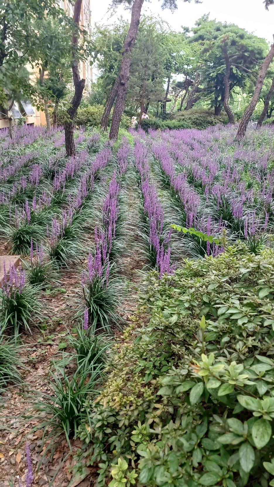 20220814_152041.jpg?type=w1