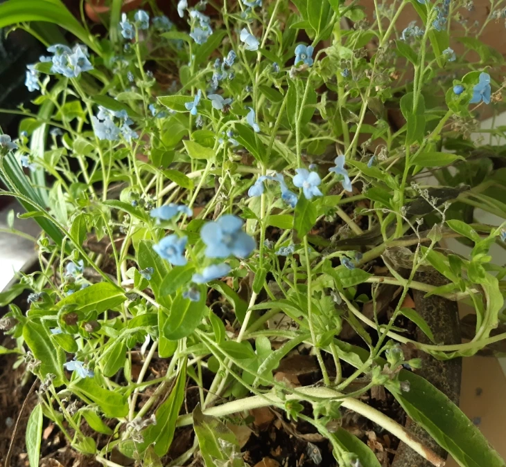 20211215%EF%BC%BF114111.jpg?type=w1