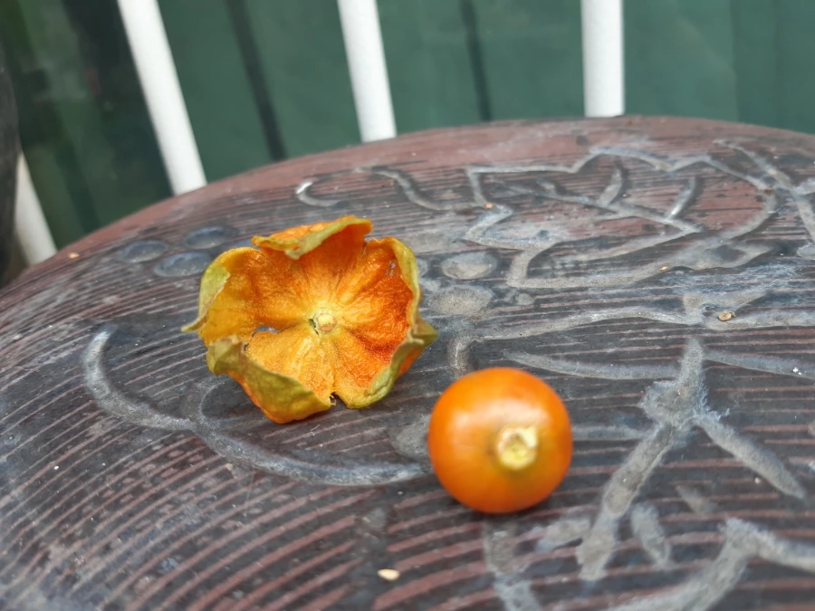 20210911%EF%BC%BF090712.jpg?type=w1