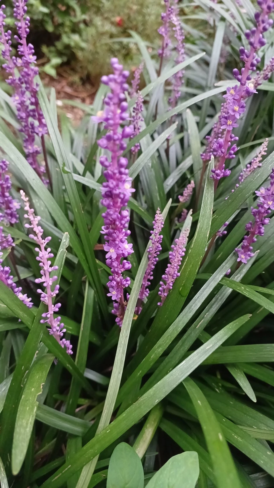 20220807_114327.jpg?type=w1