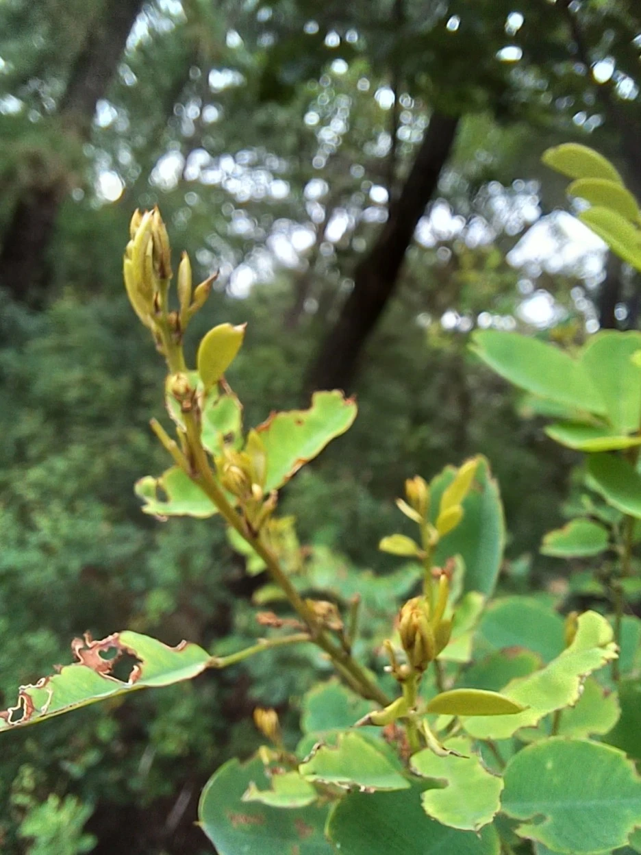 20220829_134618.jpg?type=w1